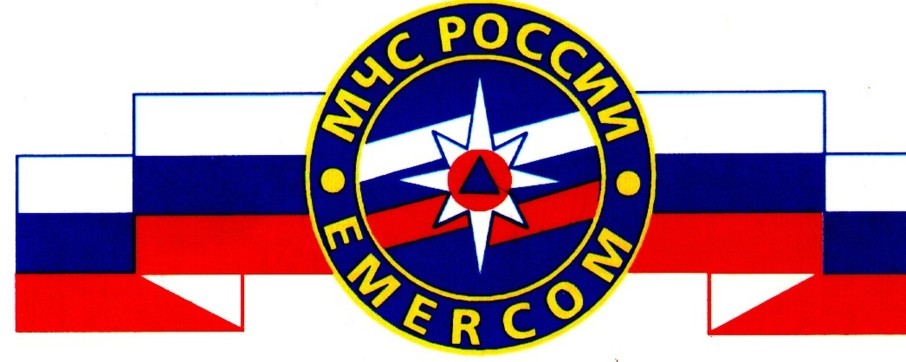 ИТОГ АКЦИИ « БЕЗОПАСНЫЙ ЛЕД».